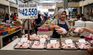 harga daging ayam