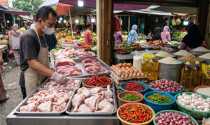 daging ayam segar