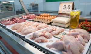 harga daging ayam
